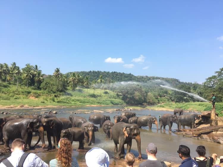 Sri Lanka Trip